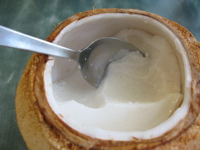 What are the benefits of Coconut meat to your body ?